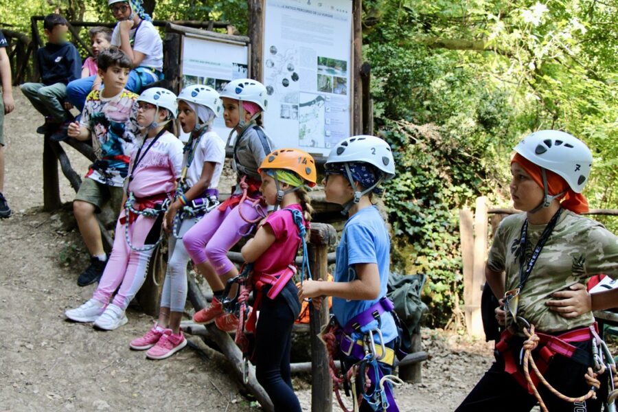 D01c5362 2e99 4a3d 9042 6be348d6ed21 1 105 C